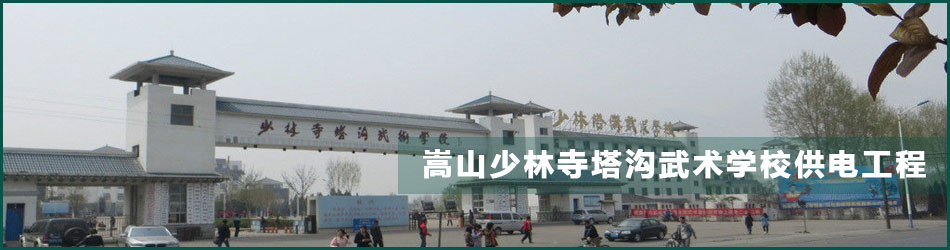 河南鼎鼎电力工程有限公司